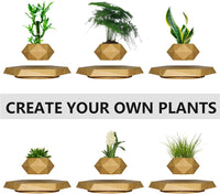 Levitating Plant Pot, Magnetic Levitation Flower Pot Rotating Planters Suspension Floating Plant Succulents Potted for Home Living Room Office Desk Decoration (Wood)