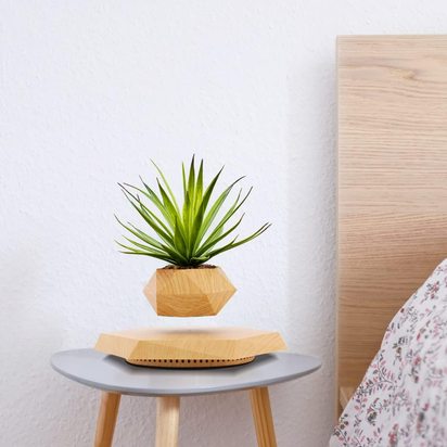 Levitating Plant Pot, Magnetic Levitation Flower Pot Rotating Planters Suspension Floating Plant Succulents Potted for Home Living Room Office Desk Decoration (Wood)