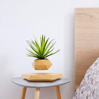Levitating Plant Pot, Magnetic Levitation Flower Pot Rotating Planters Suspension Floating Plant Succulents Potted for Home Living Room Office Desk Decoration (Wood)