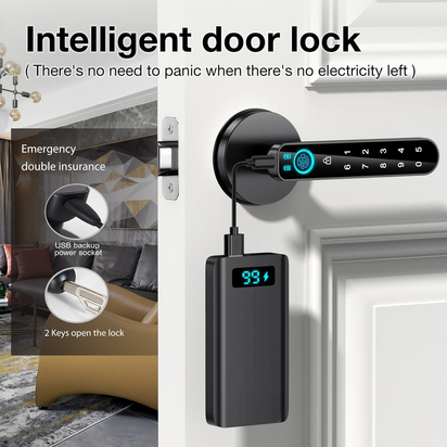 Fingerprint Door Lock- Smart Door Knob,Biometric Door Lock，With Passcode Keypad Keyless Entry Door Handle，For Bedroom Home Hotel Office Apartment (Black with APP)