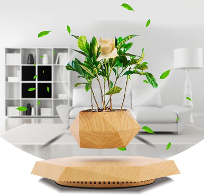 Levitating Plant Pot, Magnetic Levitation Flower Pot Rotating Planters Suspension Floating Plant Succulents Potted for Home Living Room Office Desk Decoration (Wood)
