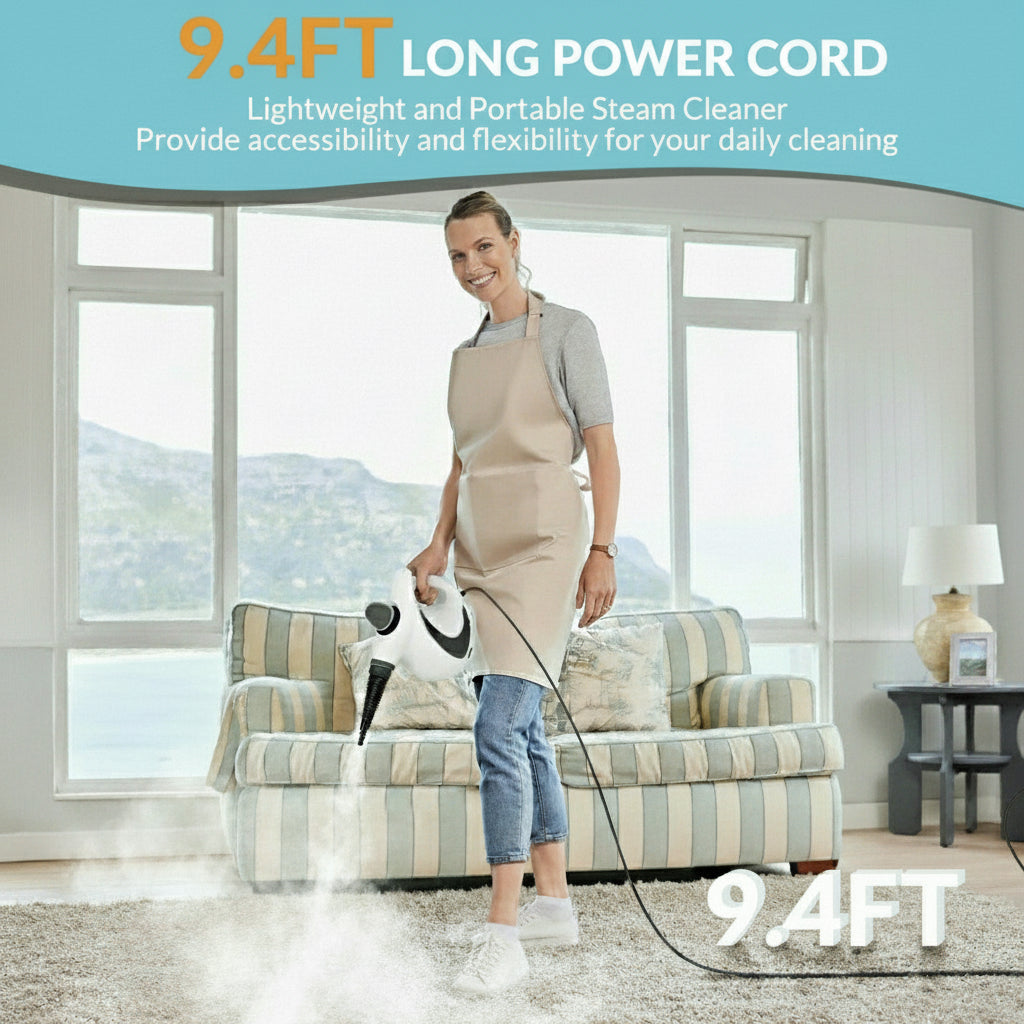 Pressurized Steam Cleaner