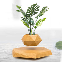 Levitating Plant Pot, Magnetic Levitation Flower Pot Rotating Planters Suspension Floating Plant Succulents Potted for Home Living Room Office Desk Decoration (Wood)