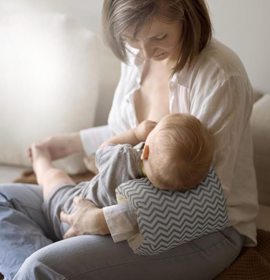 Feeding Support Pillow