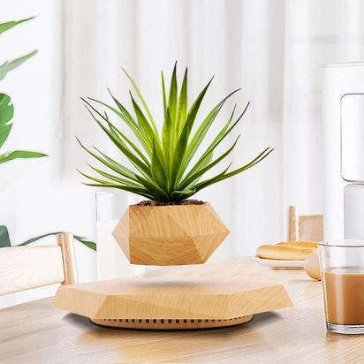Levitating Plant Pot, Magnetic Levitation Flower Pot Rotating Planters Suspension Floating Plant Succulents Potted for Home Living Room Office Desk Decoration (Wood)