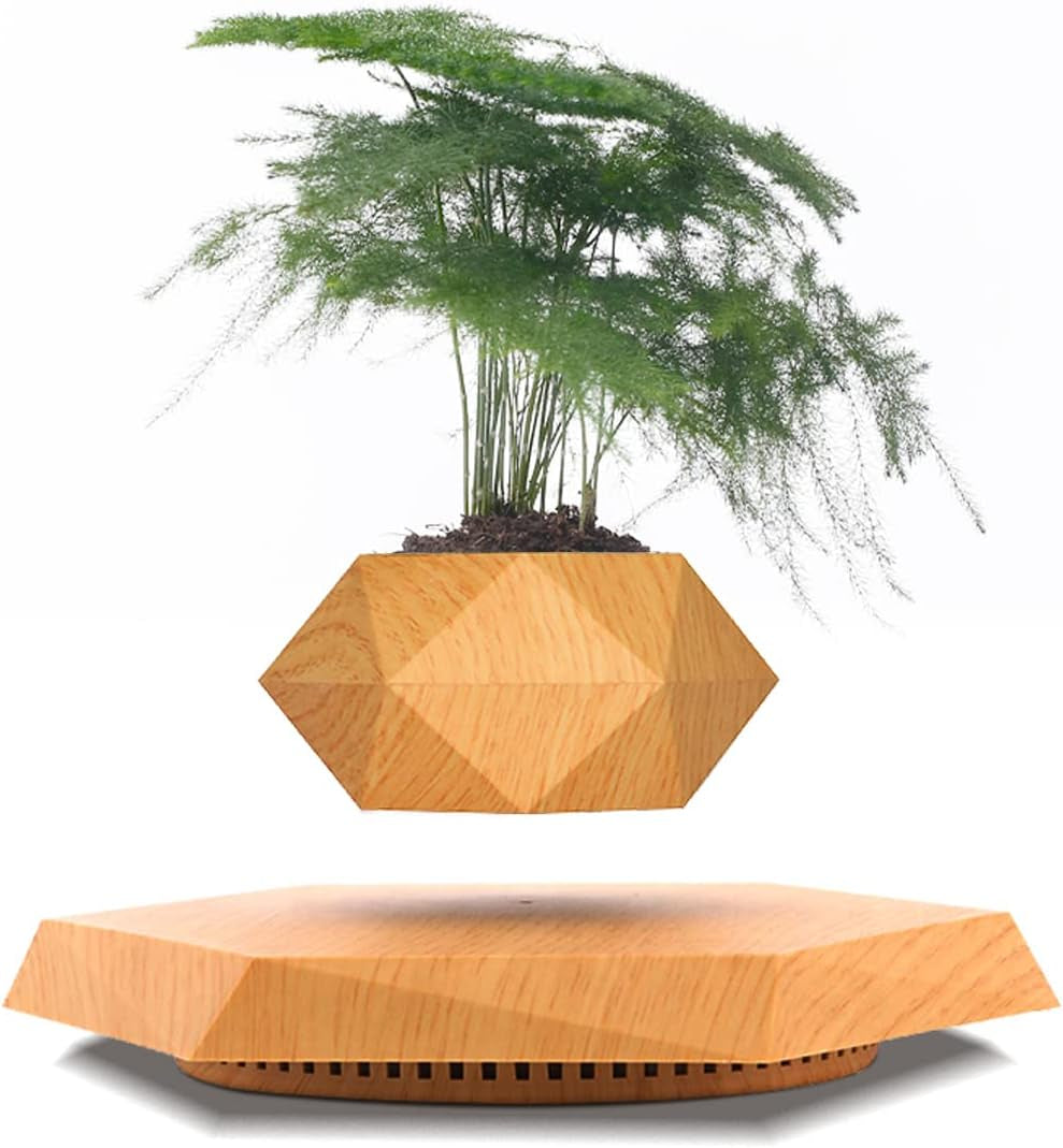 Levitating Plant Pot, Magnetic Levitation Flower Pot Rotating Planters Suspension Floating Plant Succulents Potted for Home Living Room Office Desk Decoration (Wood)
